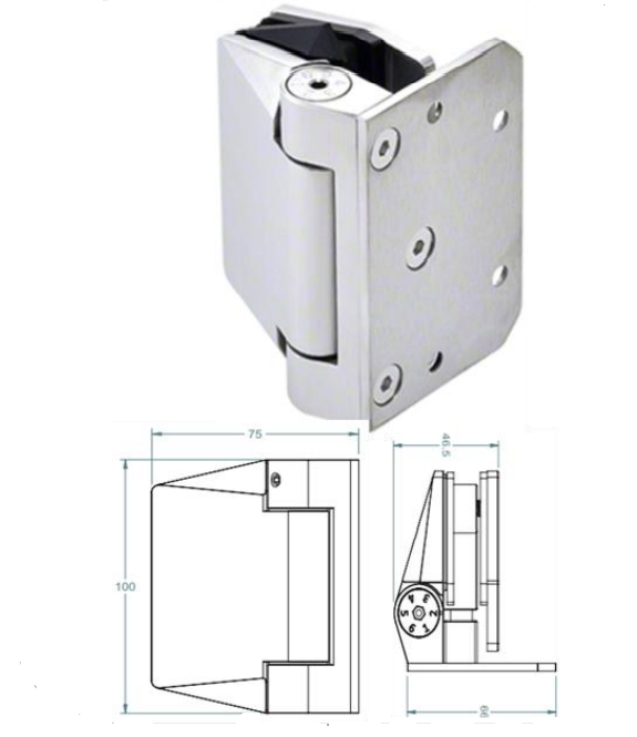 Polaris Self - Closing Glass - to - Wall Pool Hinge with 316 Stainless Steel