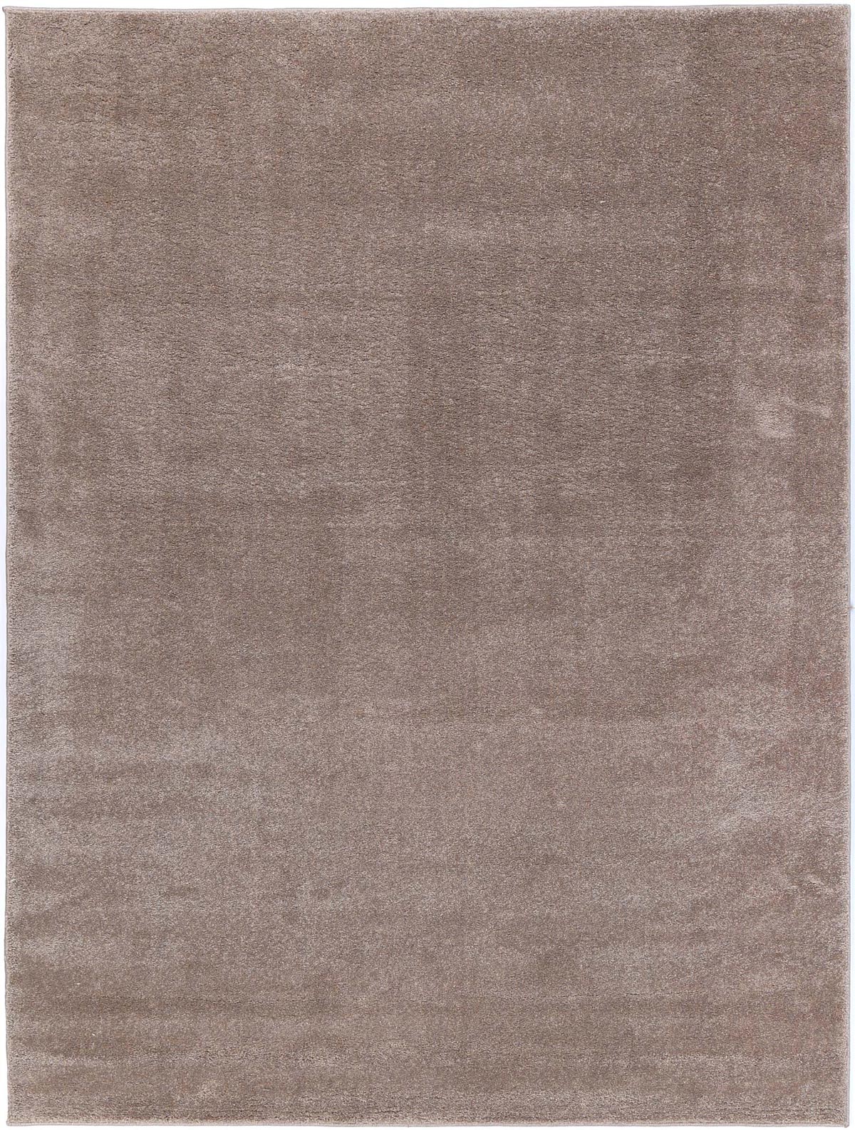 Luxurious Lissa Latte Soft Plush Rug for Cozy Spaces