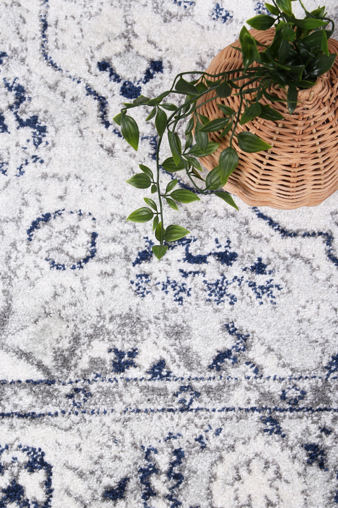 Trendy Navy Floral Area Rug from Ligures Collection - Ideal for Any Room