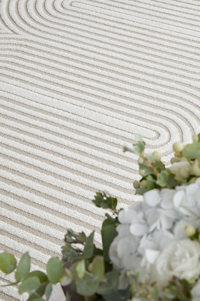 Special Offer! Carl Mixed Polypropylene Power Loomed Lotus Rug for Modern Spaces