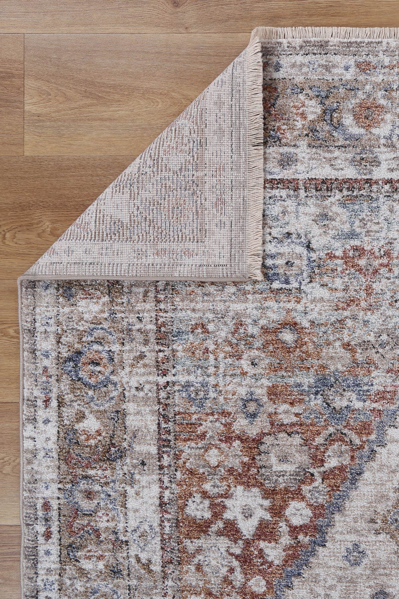 Annapolis Shriaz Multi - Soft and Durable Traditional Area Rug
