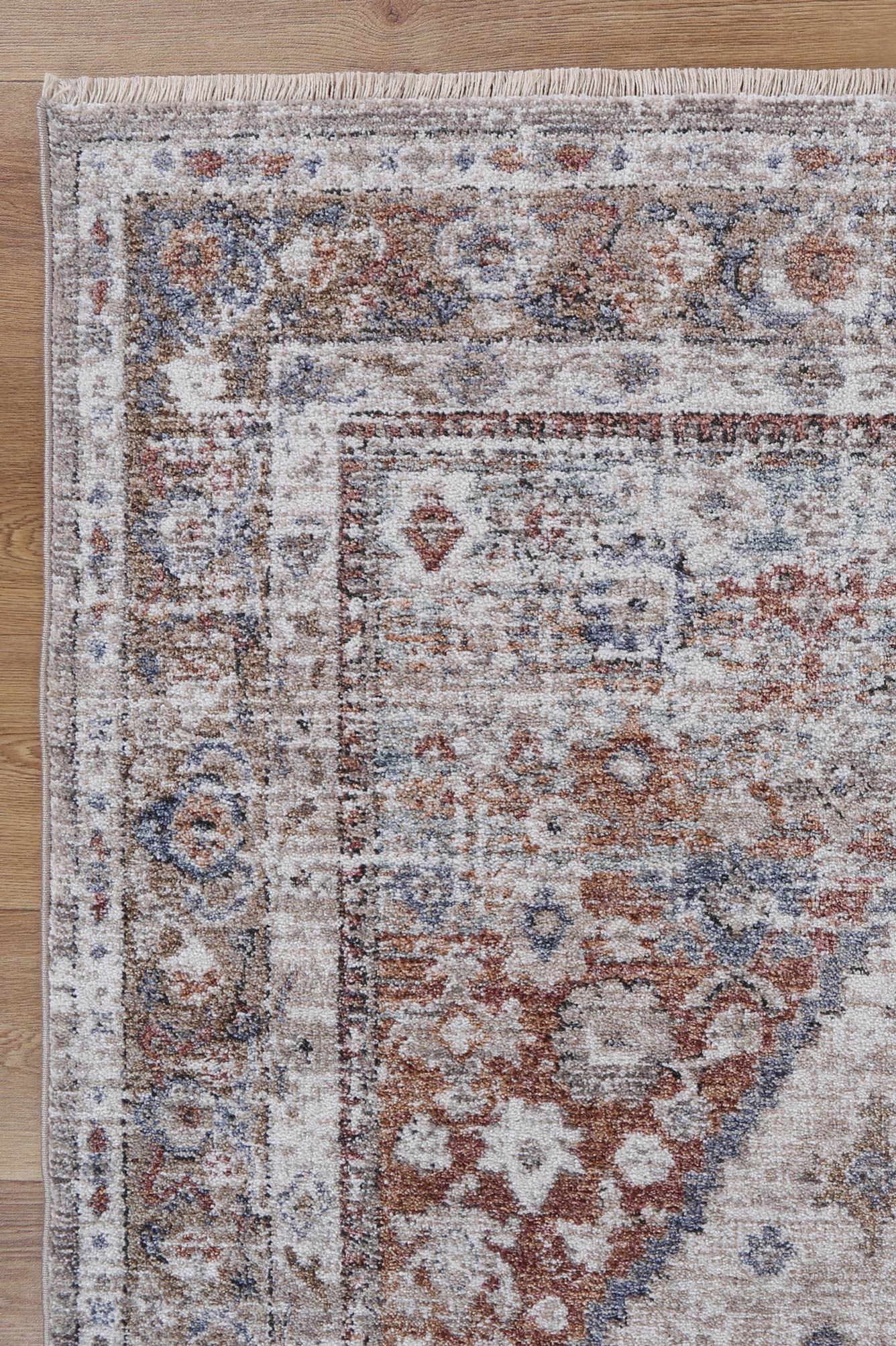 Annapolis Shriaz Multi - Soft and Durable Traditional Area Rug