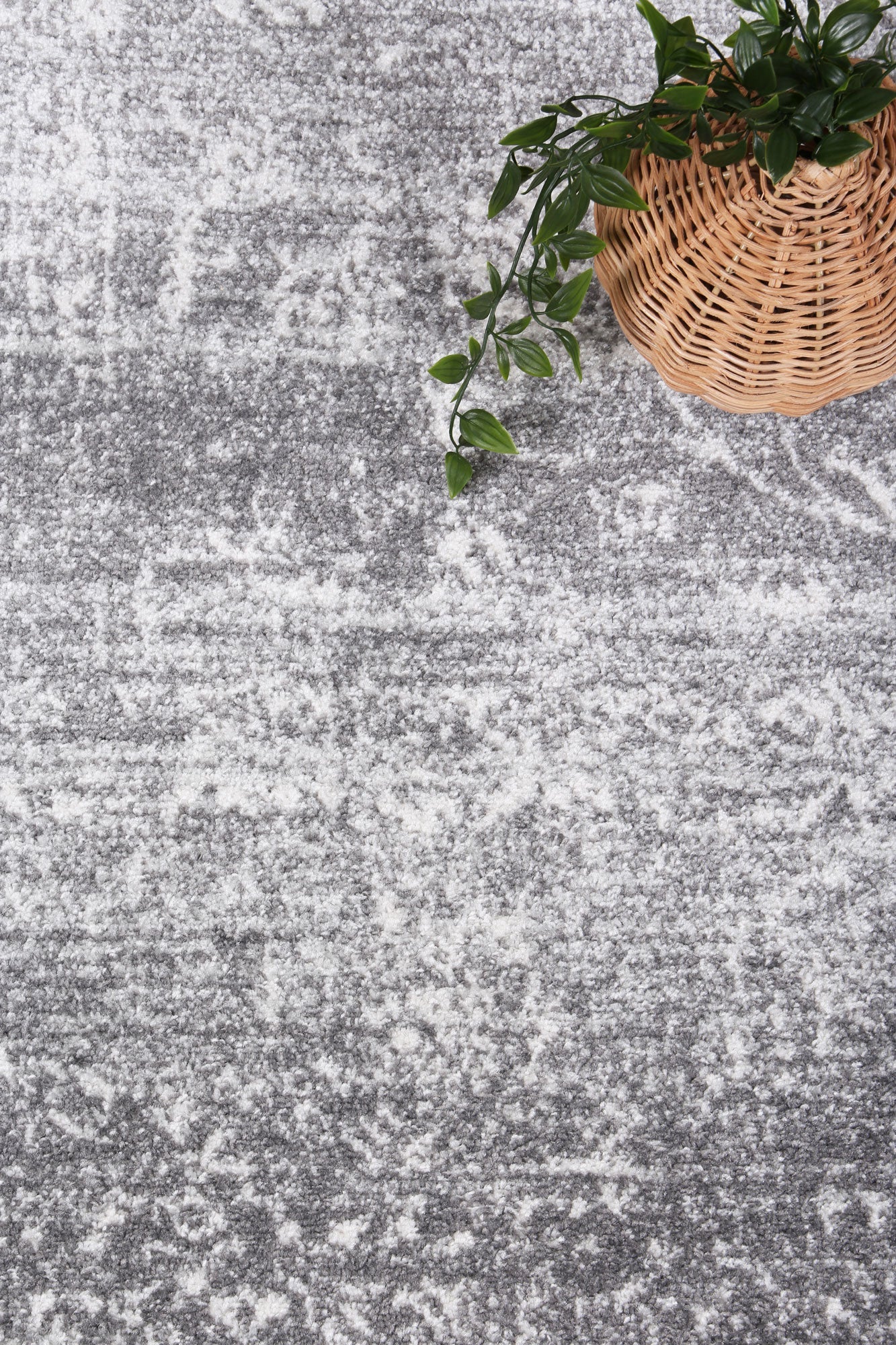 Ligures Grey Transitional Rug - Trendy & Durable