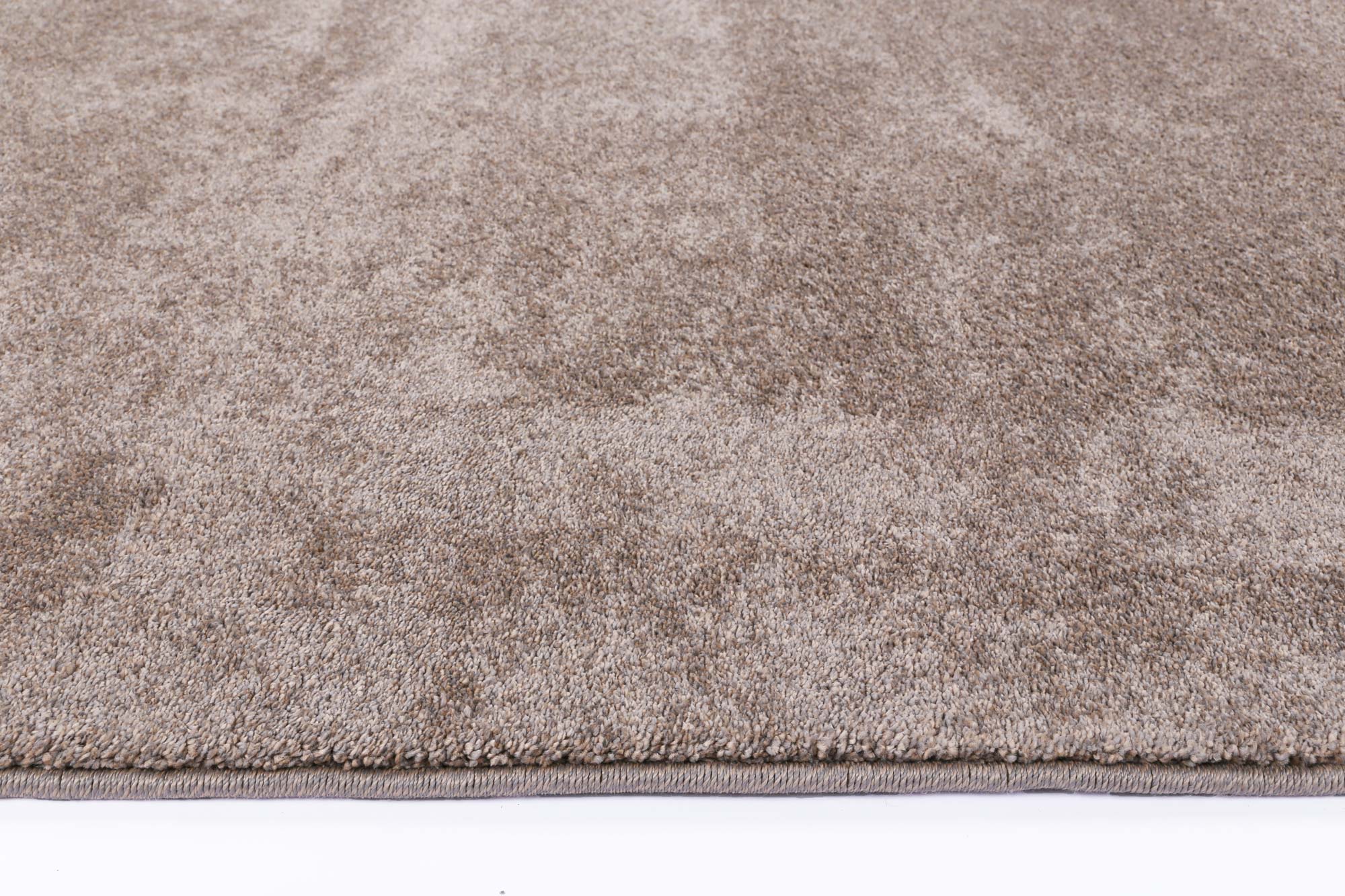 Luxurious Lissa Latte Soft Plush Rug for Cozy Spaces