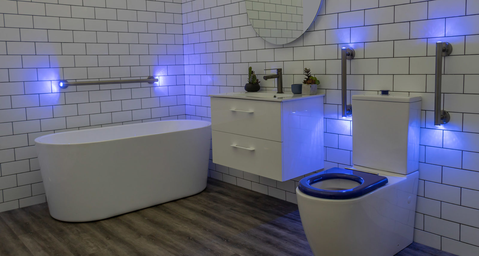 450mm LED Grab Rail with Optional Color - Ideal for Assisted Living