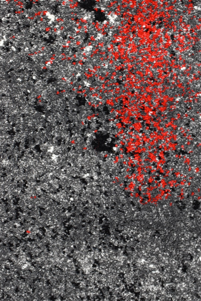 Stylish Novus 53A Rug in Grey and Red Tones