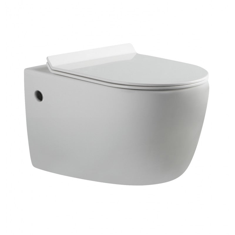 Hot Deal! Alexander-R Nano Glaze Rimless Wall-Hung Toilet in Gloss White