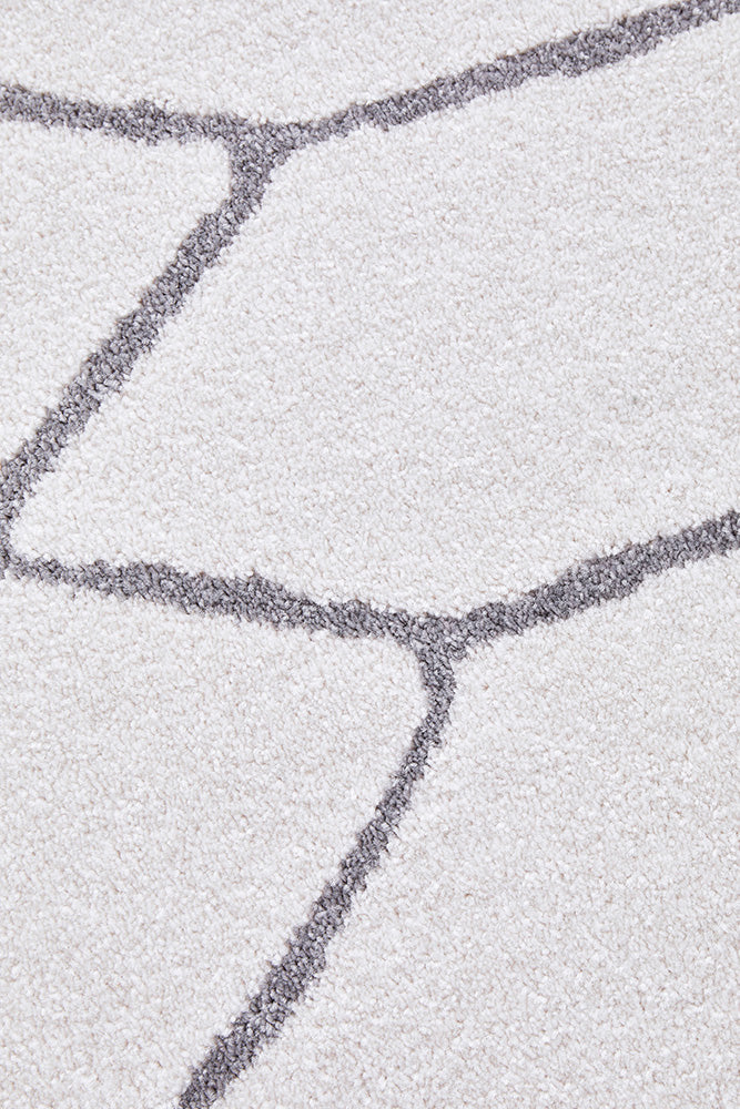 Hot! Paradise Ivy Grey Rug - Ideal for Living Spaces