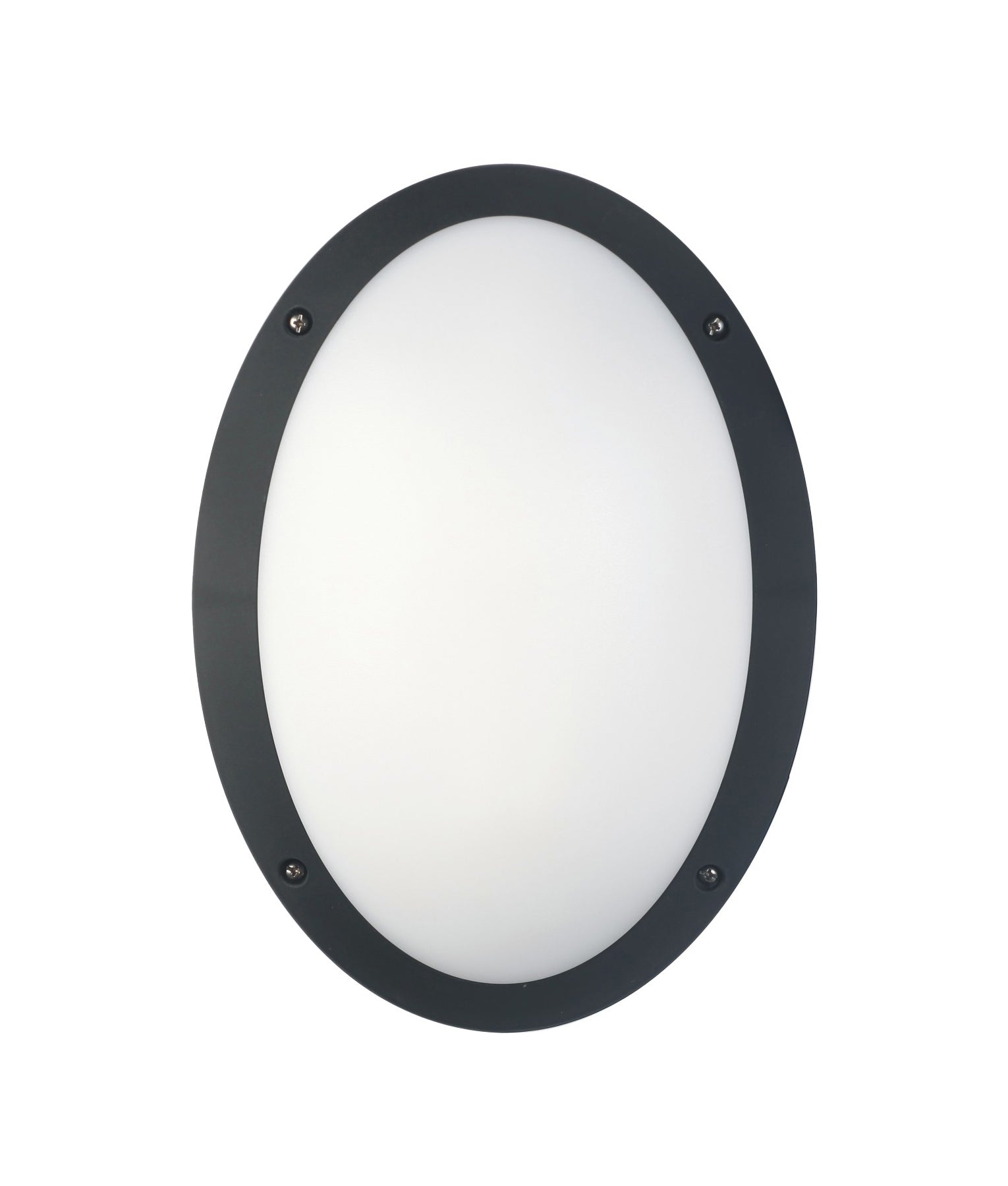 Great Deal! Oval LED Exterior Bulkhead Lights with IP66 Rating and IK10 Vandal Resistance