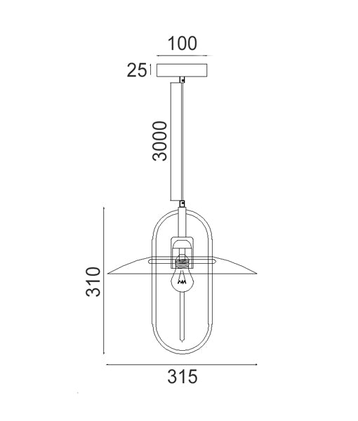 Stylish Oblong Iron and Glass Interior Single Pendant Lights