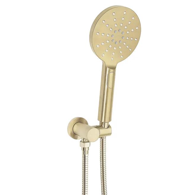 PAVIA Round Handheld Shower Set with Brushed Gold Finish