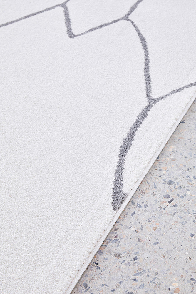 Hot! Paradise Ivy Grey Rug - Ideal for Living Spaces