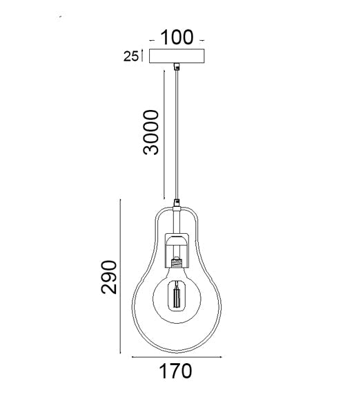 Hot Sale: Interior Black Iron Wire Pear-Shaped Single Pendant Light