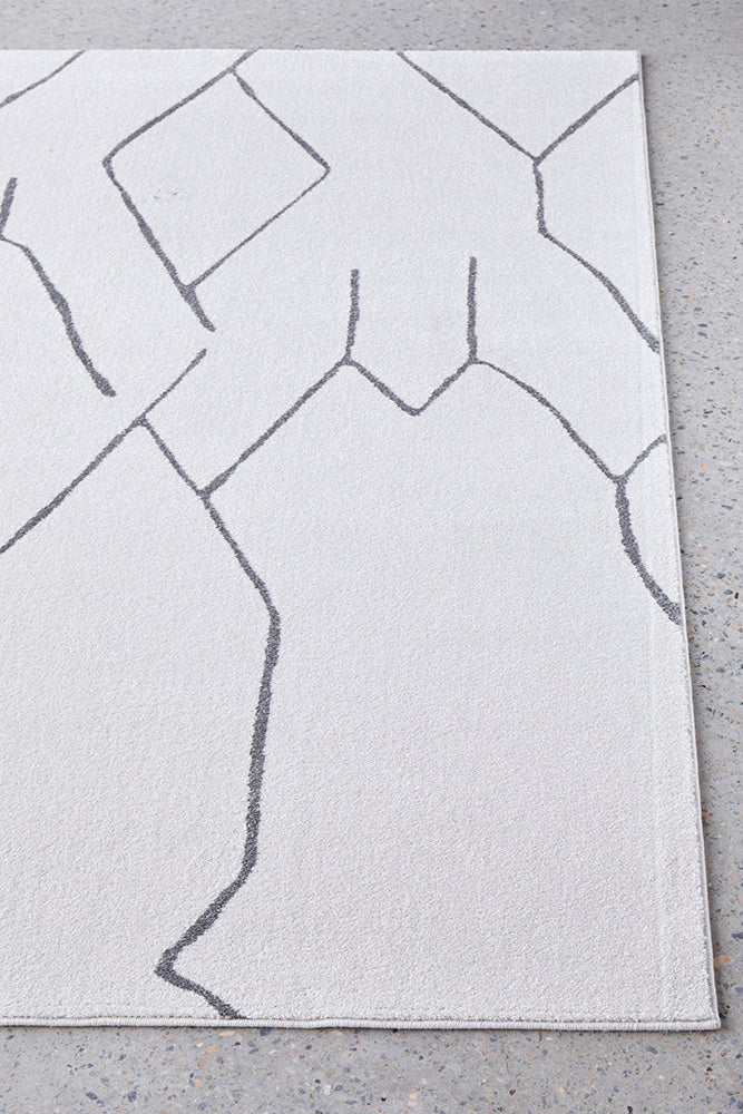 Hot! Paradise Ivy Grey Rug - Ideal for Living Spaces