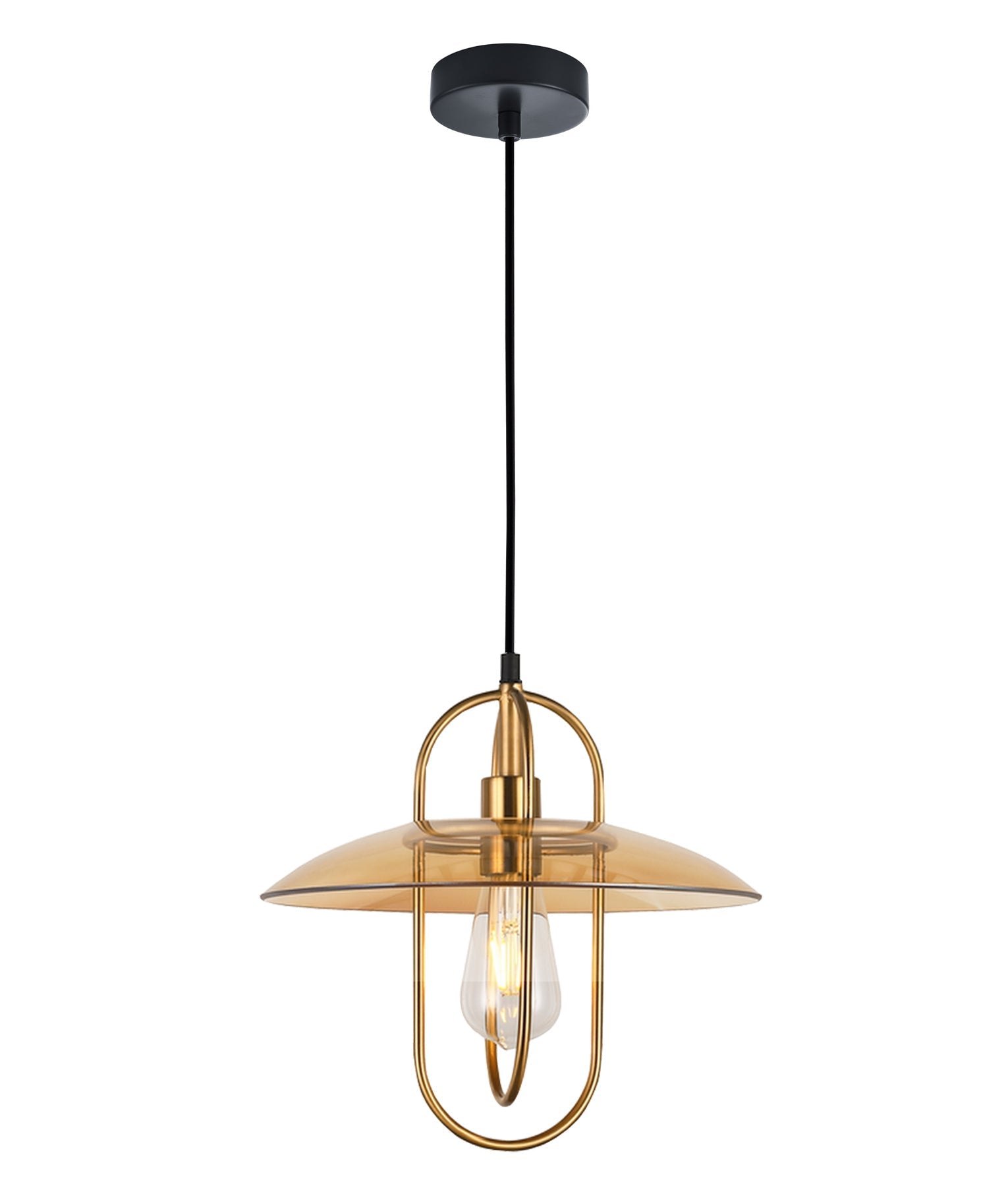 Stylish Oblong Iron and Glass Interior Single Pendant Lights