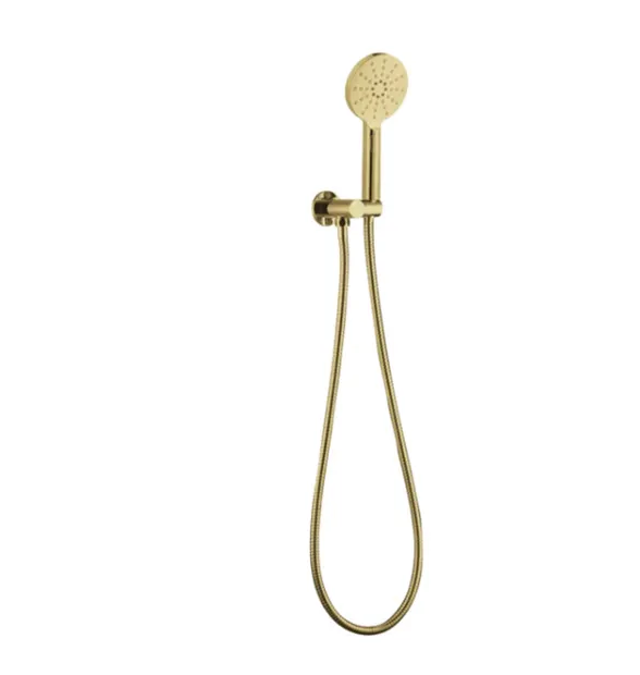 PAVIA Round Handheld Shower Set with Brushed Gold Finish