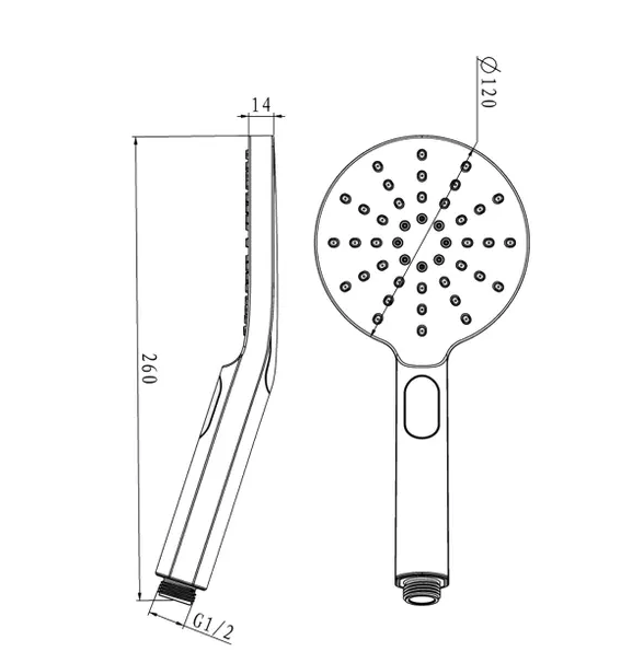PAVIA Round Handheld Shower Set with Brushed Gold Finish