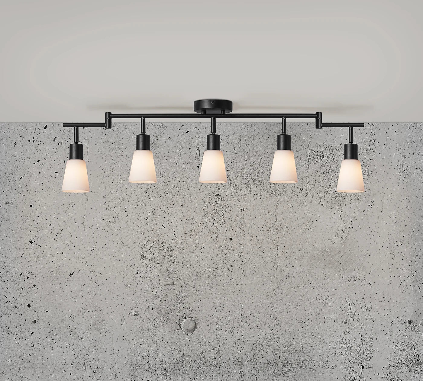 Cole 5-Spot Black Spot Light - Modern & Adjustable
