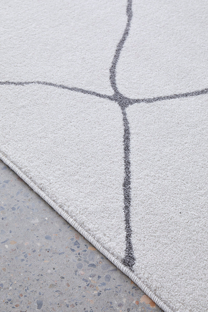 Grey Paradise Amy - Modern Power Loomed Rug from Turkey