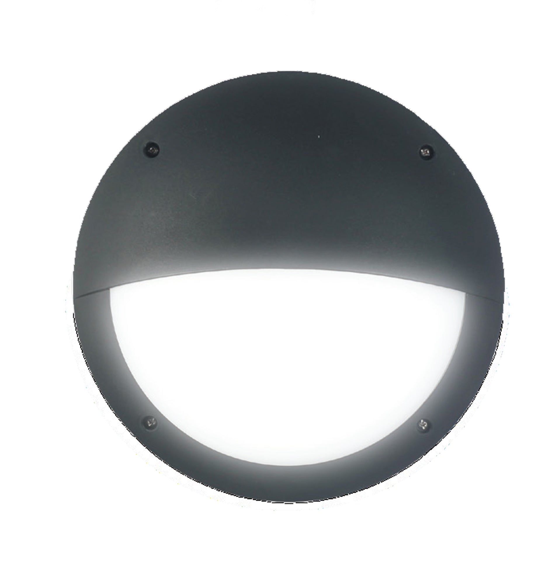 Hot Deal: Bulk Exterior LED Black Eyelid Bulkhead Lights with IP54 and IK10 Ratings